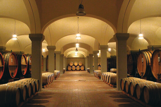 Casa Vinicola Triacca - photo 5