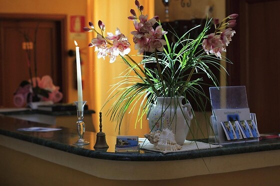 Online Booking EPS - photo 1