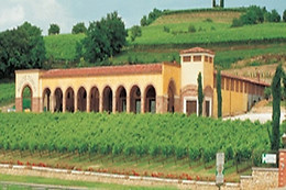 Azienda Agrituristica Montetondo