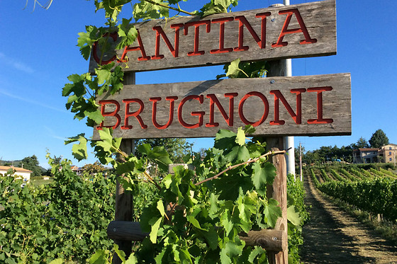 Cantina Brugnoni - photo 0