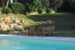 Villa Castelletti
