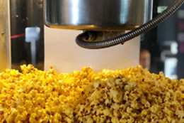 Cinéma Wellington