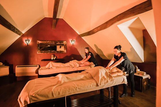 Domaine des Thomeaux - photo 28