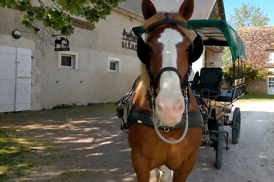 Le village de Cottages - photo 4
