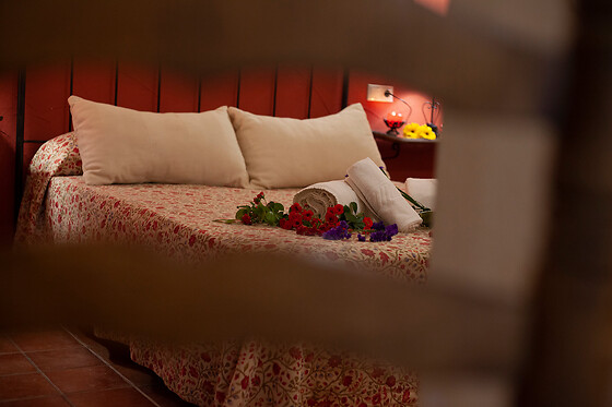 CASAS LA SUERTE - photo 16