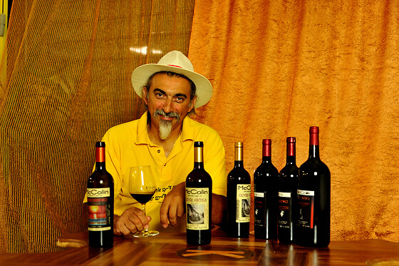 McCalin  vini artigianali - photo 3