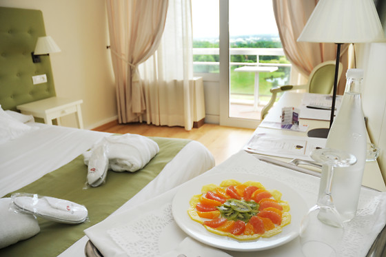 Hôtel Château les Dryades - photo 18