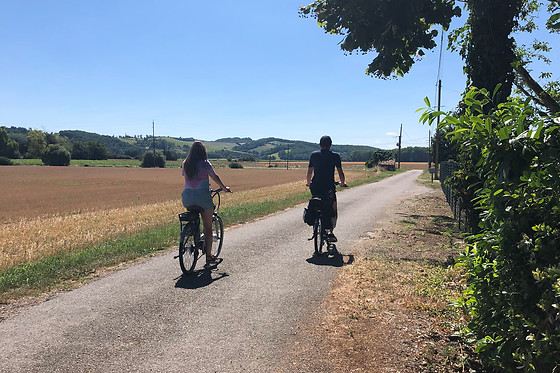 Le Vigné - photo 4