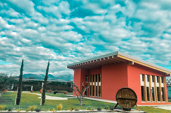 Podere dei Folli - photo 4