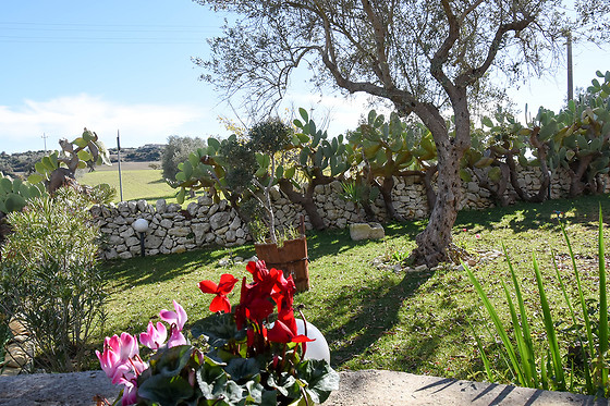 Agriturismo Tenuta Carbonara - photo 1