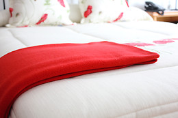 LA CASA BLANCA