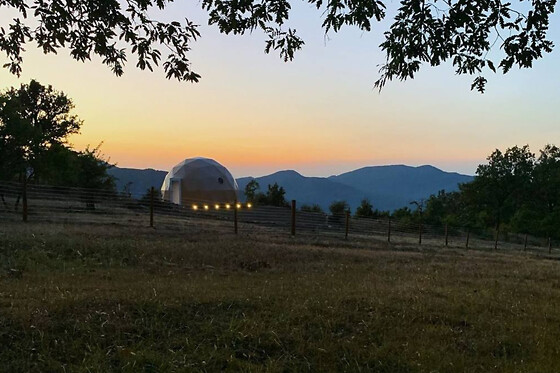 Aura Glamping - photo 4