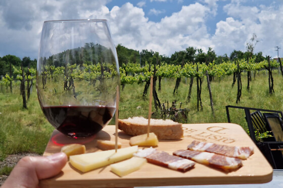 Tenuta De Lisio - photo 1