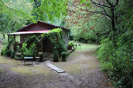 B&B Fattoria Dentro al Bosco