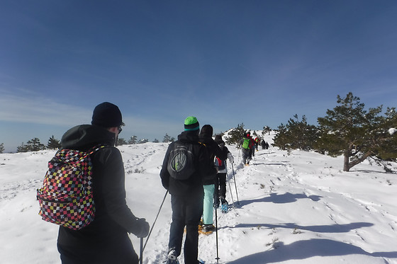 PLANETSPORT MULTIAVENTURA - photo 7