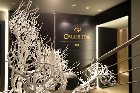 Callistos Hotel - photo 13