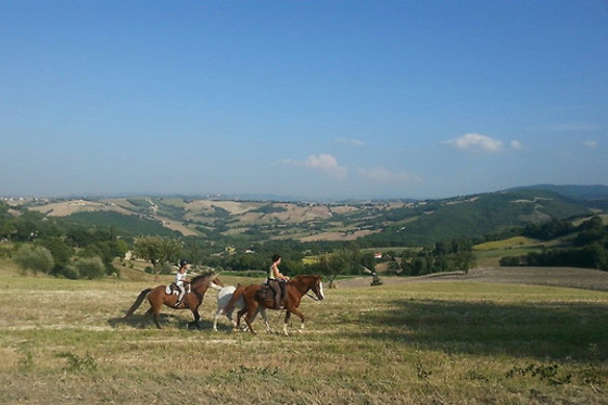 Agriturismo Il Casale - photo 6