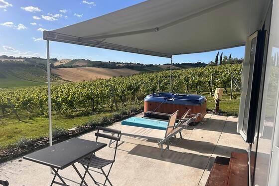 Azienda Agricola Bartolacci - photo 4