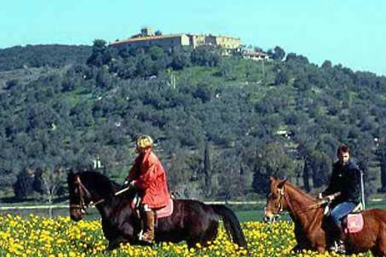 B&B Le Roccette - photo 0