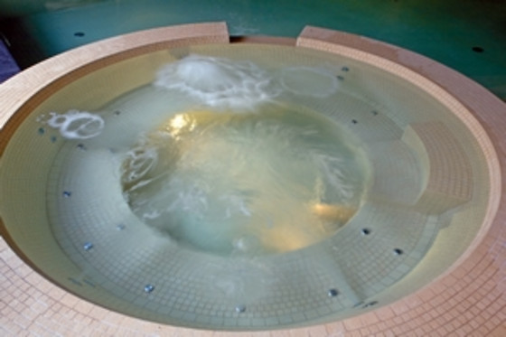 City spa Cascina Scova - photo 6