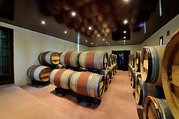 BODEGAS PAGO DE ALMARAES