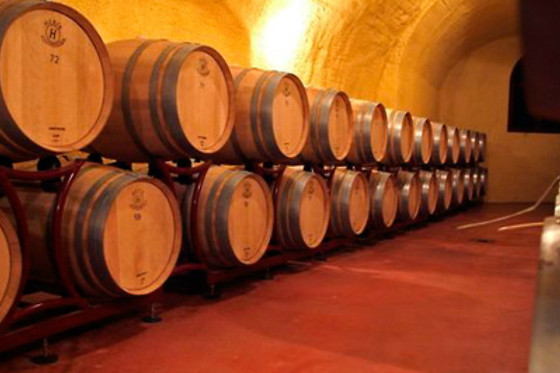 BODEGAS PAGO DE ALMARAES - photo 4