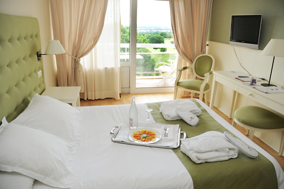 Hôtel Château les Dryades - photo 17
