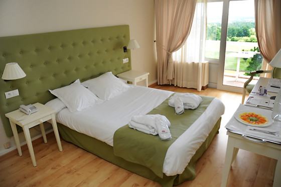 Hôtel Château les Dryades - photo 15