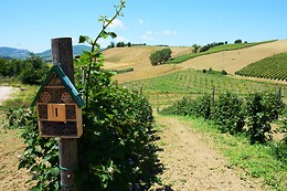 Agriturismo B&B ColleOlivi
