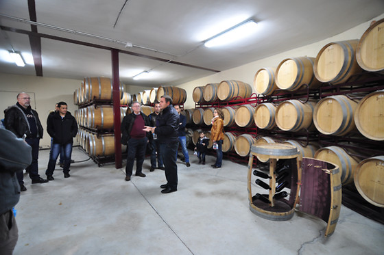 BODEGAS PABLO MORATE - photo 0