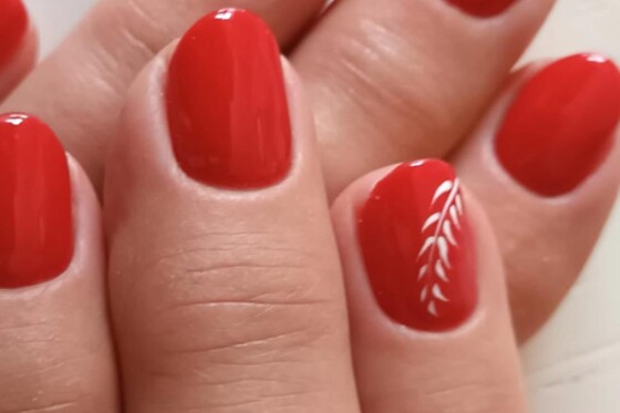 Toute en Beauté - photo 20