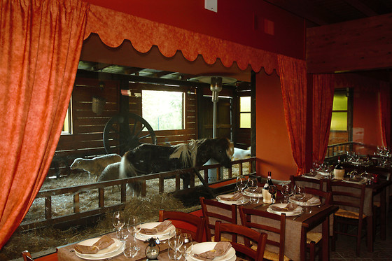 Tenuta del Vecchio Mulino - photo 0