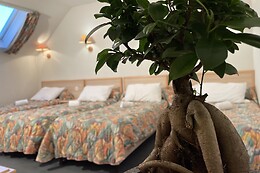 Hotel CORONA Lourdes