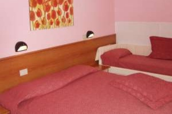 Hotel Minerva - photo 2