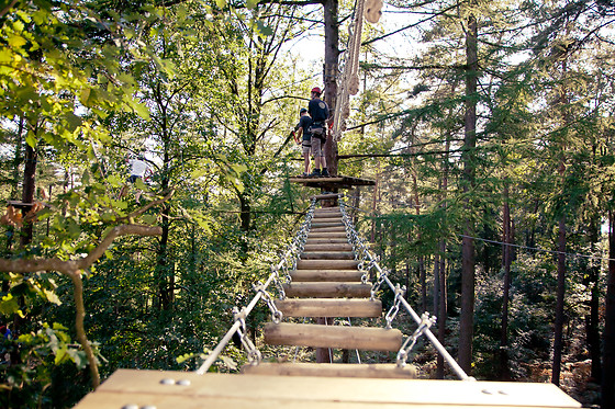 Parc Forestia - photo 9