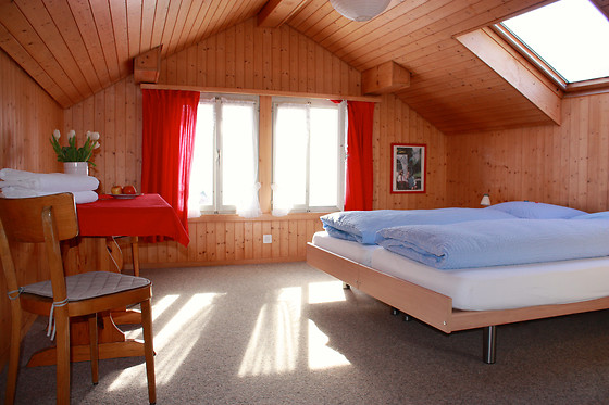 Seehotel Sternen Brienz - photo 17