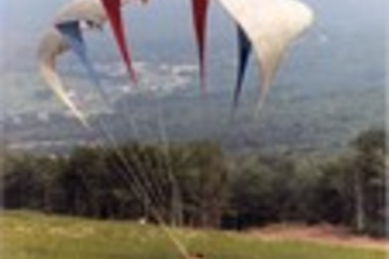 Abruzzofly - Blue wind - photo 3