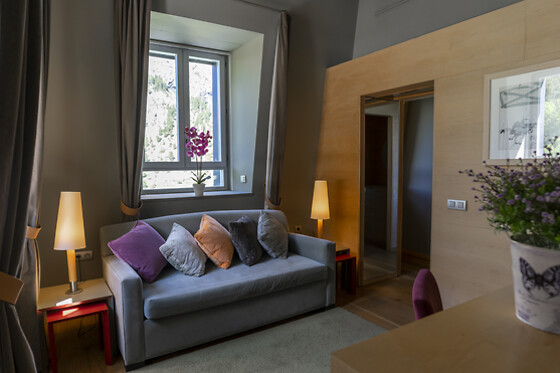 HOTEL RESORT BALNEARIO DE PANTICOSA - photo 31