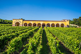Azienda Agrituristica Montetondo
