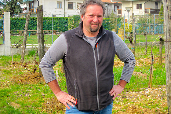 Azienda Agricola Luca Fedele - photo 5