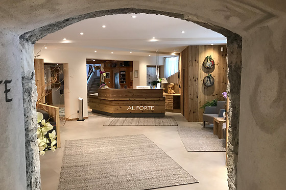 Hotel Al Forte - photo 3