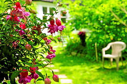 Agriturismo Cascina Zenevrea