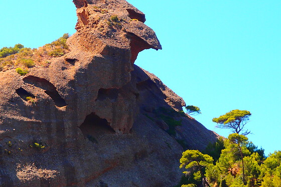 ExpéNATURE - photo 11