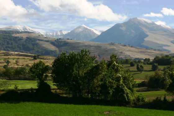 Affittacamere Locanda della Corte - photo 3