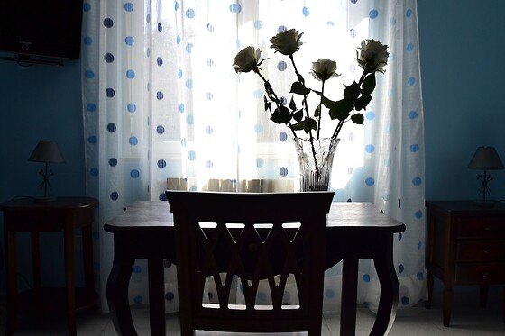Online Booking EPS - photo 3